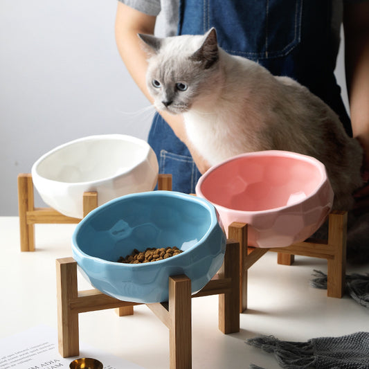 Pet bowl oblique mouth cat bowl