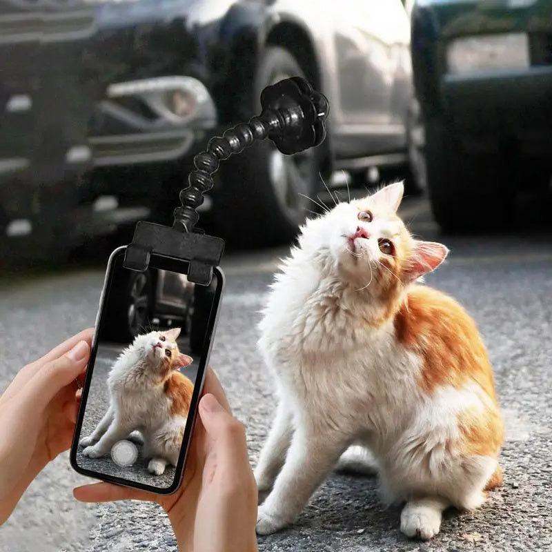 Pet Photography,Holder Selfie Clip